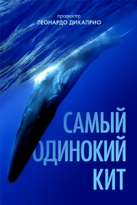 Самый одинокий кит на планете: в поисках Пятидесятидвухгерцового кита